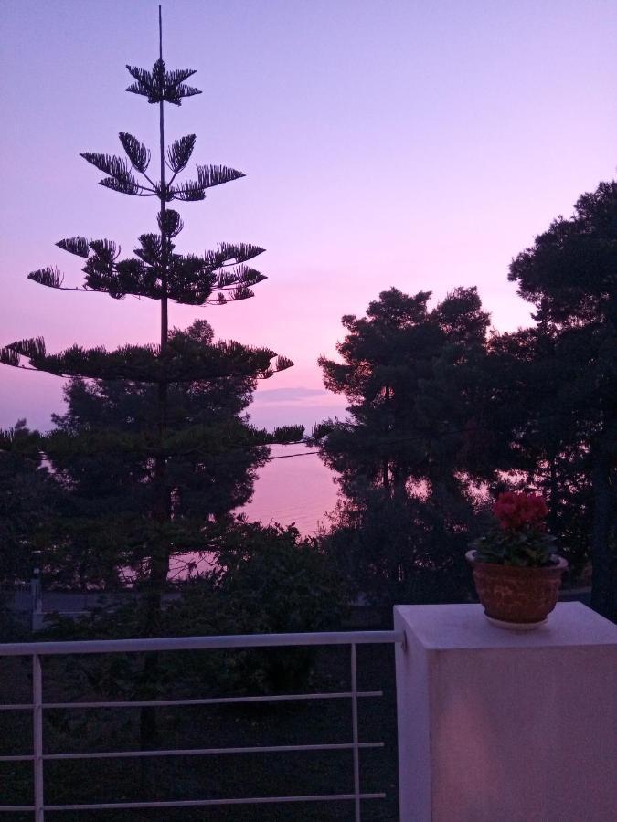 Iliahtida Apartment คัลกิดา ภายนอก รูปภาพ